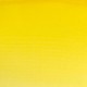WN  WINSOR LEMON